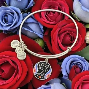 ❤️💙ALEX AND ANI❤️💙Love Is All You Need Charm Bangle in RS w/Gift Box/NWOT